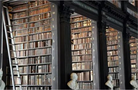Shelves of law books
